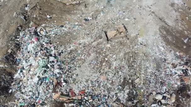 Un sacco di gabbiani. escavatore che lavora alla discarica urbana . — Video Stock