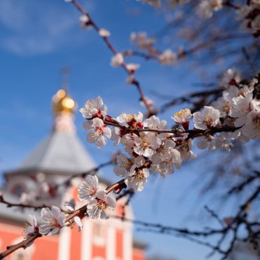bahar Rusya Bataysk 03.28.2020 Kilise Yükselişi