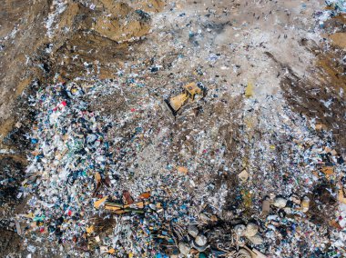 03.31.2020 Rusya Rostov Aksay çöplük ve martılar