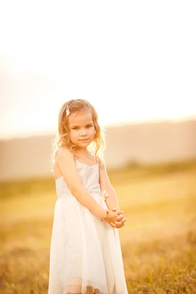 Menina pequena vestido cinza stand no campo de trigo inclinado — Fotografia de Stock