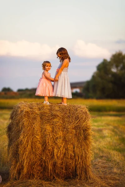 Niñas pequeñas de pie en una pila de heno en el campo de trigo —  Fotos de Stock
