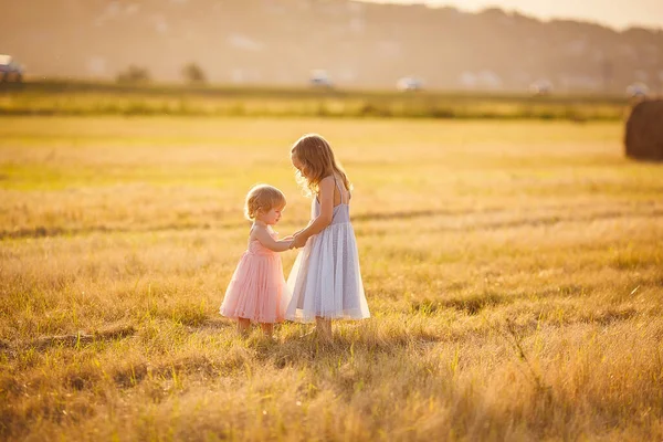 Niñas agarradas de la mano de pie en el campo de trigo —  Fotos de Stock