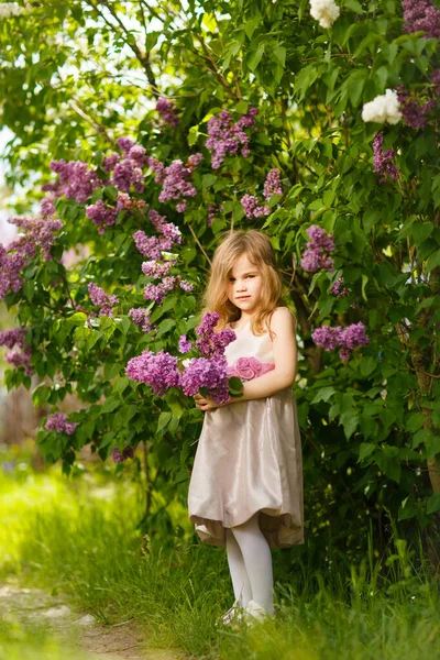 Leylak çiçeklerinin yanında pembe elbiseli sarışın bir kız. — Stok fotoğraf