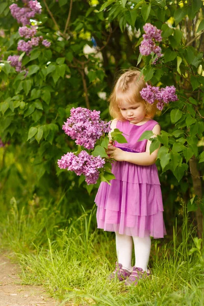 Menina em vestido roxo perto de arbusto de lilás — Fotografia de Stock