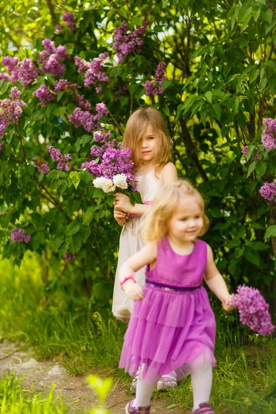 Divertenti ragazze piccole vicino cespuglio di lilla con bouquet — Foto Stock