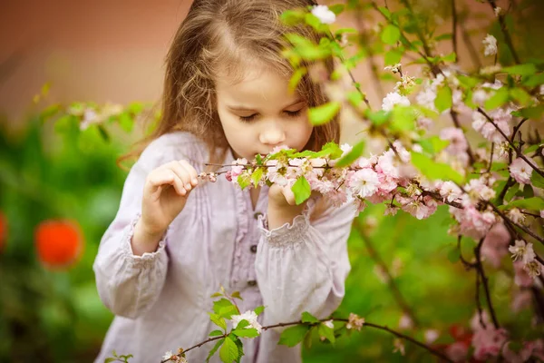 정원에 있는 작은 소녀가 아몬드 덤불에서 냄새를 맡는다 — 스톡 사진