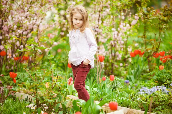 Little girl in flowerbed with almond and tulips — Stock Photo, Image