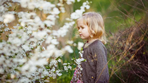 Çiçek açan çalılıklardaki küçük sarışın kız.. — Stok fotoğraf