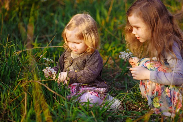 Bambine sedute in erba con ramoscello fiorito — Foto Stock