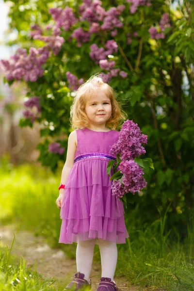 Menina engraçada em vestido roxo perto de arbusto de lilás — Fotografia de Stock