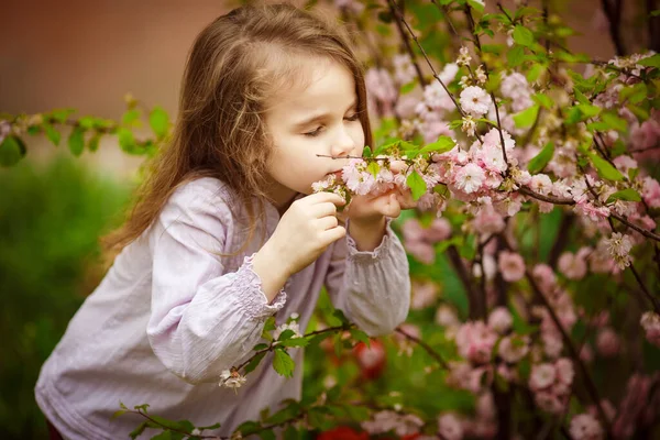 정원에 있는 여자 애가 아몬드 덤불 냄새를 맡아 — 스톡 사진