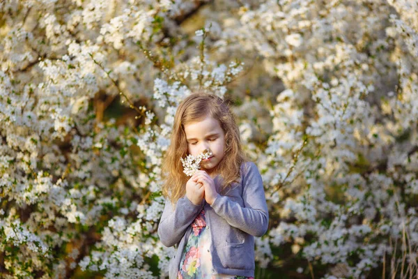 Chica en la floración arbustos olfatea ramita en las manos — Foto de Stock
