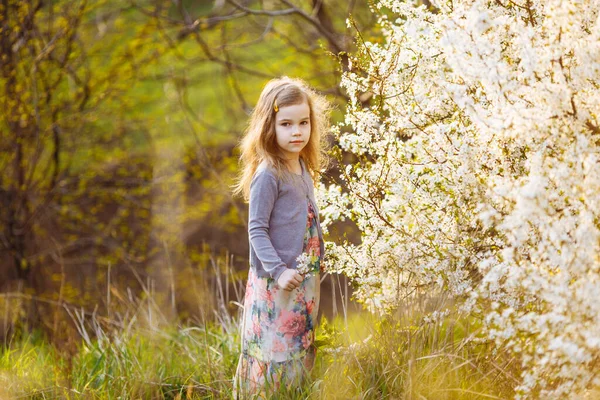 Liten flicka bredvid blommor på en blommande buske. — Stockfoto