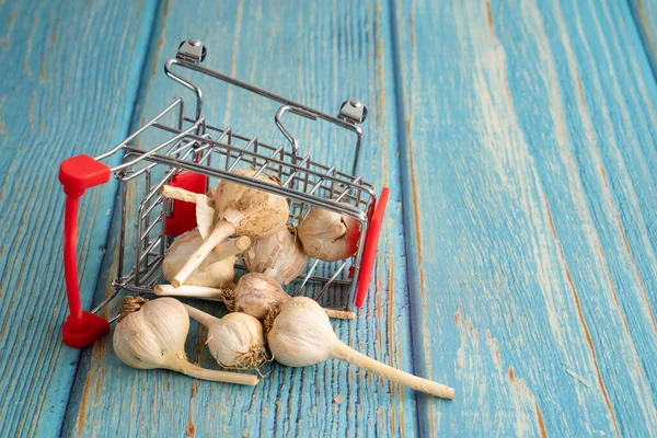 Kereta belanja mini biru bawang putih penuh di punggung kayu — Stok Foto