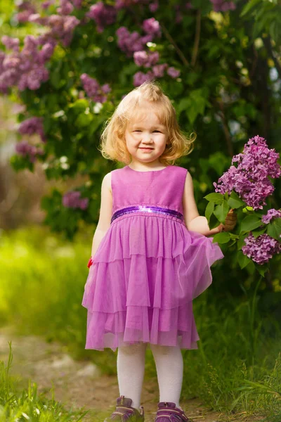 Menina pequena em vestido roxo perto de arbusto de lilás — Fotografia de Stock