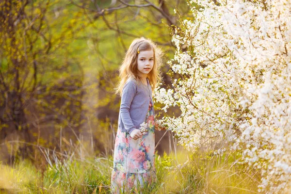 Niña pequeña junto a las flores en un arbusto en flor . — Foto de Stock