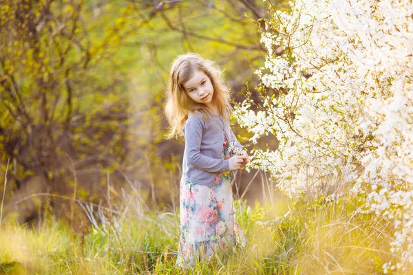 Niña al lado de las flores en un arbusto en flor . — Foto de Stock