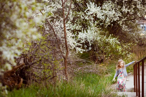 Petite fille monte les escaliers le long des arbres à fleurs — Photo