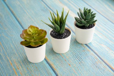 ev aroması ve bitkiler tencerede sulu.