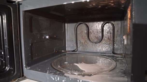 Spruzzi esplosi di latte nel forno a microonde . — Video Stock