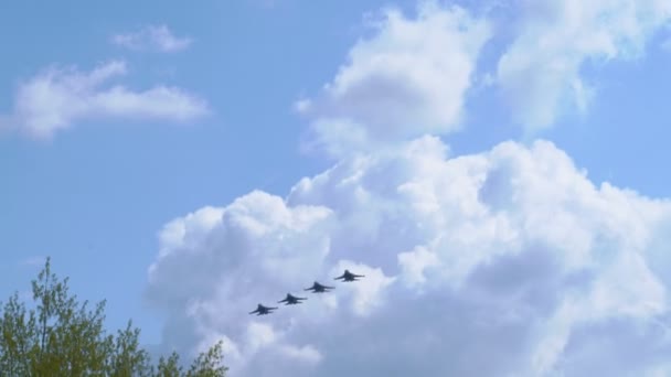 Skupina profesionálních pilotů vojenských letadel — Stock video