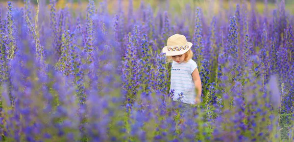 Klein meisje in een veld met paarse bloemen — Stockfoto