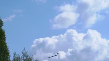 Askeri uçakların profesyonel pilotları.