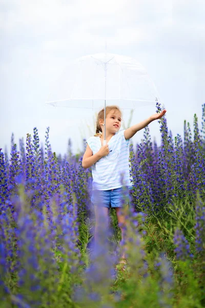 Klein meisje met paraplu in het veld paarse bloemen — Stockfoto