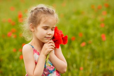 Haşhaş tarlasında çiçek toplayan güzel çocuk