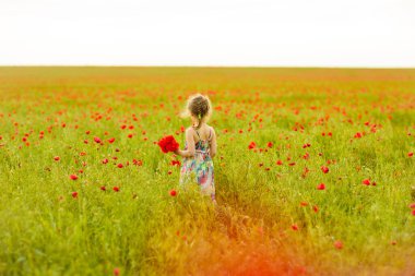 Haşhaş tarlasında çiçek toplayan güzel çocuk