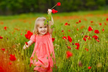 Haşhaş tarlasında çiçek toplayan güzel çocuk