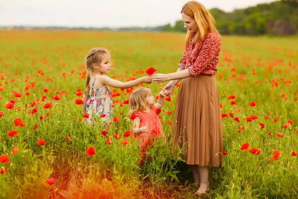 Дети с мамой собирают цветы на маковом поле — стоковое фото