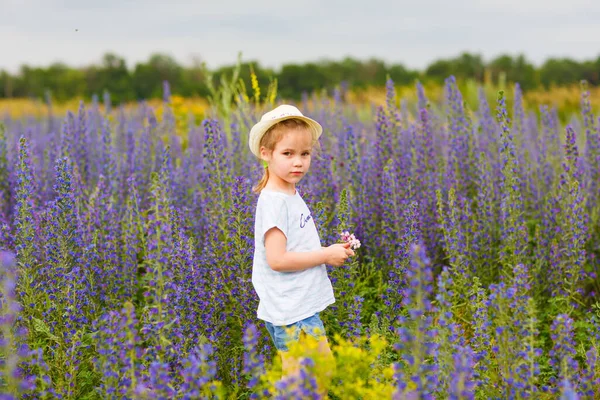 Klein kind meisje in het veld met blauwe paarse bloemen — Stockfoto