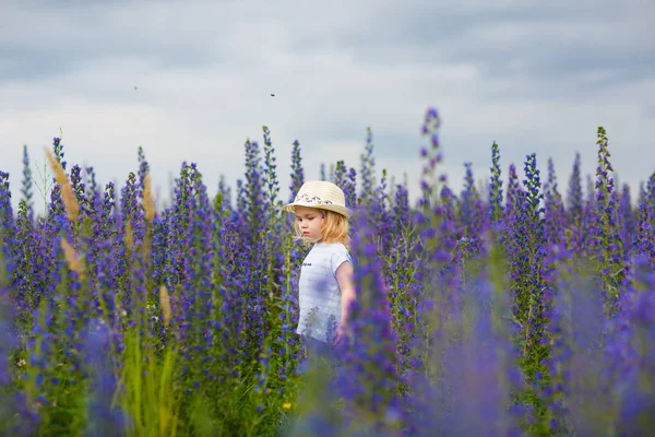 Klein kind meisje in het veld met blauwe paarse bloemen — Stockfoto
