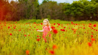 Haşhaş tarlasında çiçek toplayan güzel çocuk