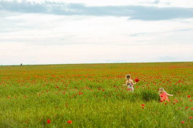 Haşhaş tarlasında çiçek toplayan güzel çocuklar
