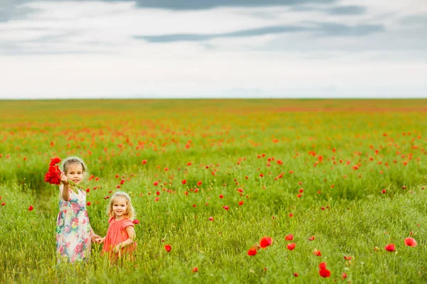 Gyönyörű gyerekek szedik a virágokat a mák mezőn — Stock Fotó