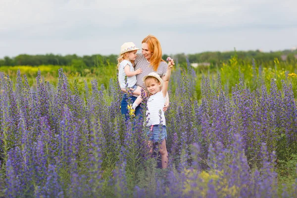 Moeder en dochters in het veld met paarse bloemen — Stockfoto