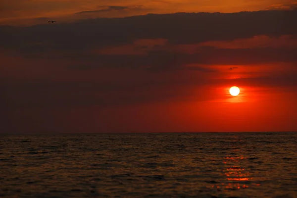 Paisaje. puesta de sol sobre el mar. sol rojo . — Foto de Stock