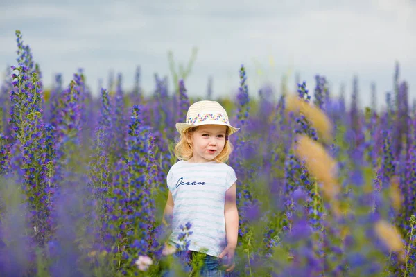 Kleines Mädchen auf dem Feld mit blauvioletten Blumen — Stockfoto