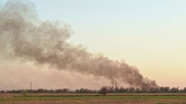 Gökyüzü dumanında kuru otları yakar.