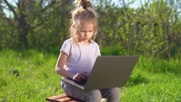 Маленькая девочка с ноутбуком и цыплятами в деревне — стоковое видео