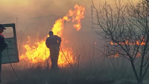 Verbrandt droog gras in de lucht rook. brandweerlieden die werken — Stockvideo