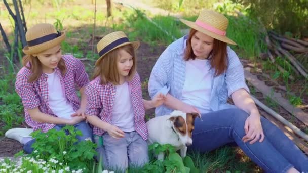 Mama z córkami i psem siedzi na trawniku — Wideo stockowe