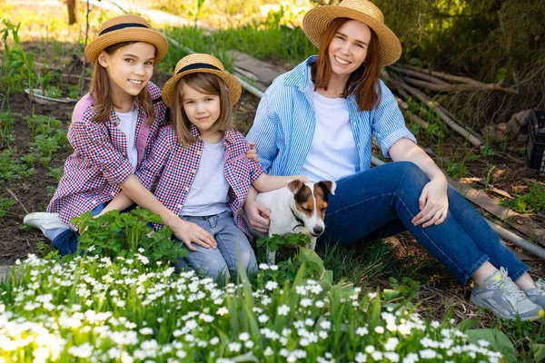 Мама с дочерьми и собакой сидит на лужайке — стоковое фото