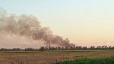 Gökyüzü dumanında kuru otları yakar.