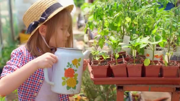 Чарівна маленька дівчинка дитина в капелюсі поливає розсаду — стокове відео