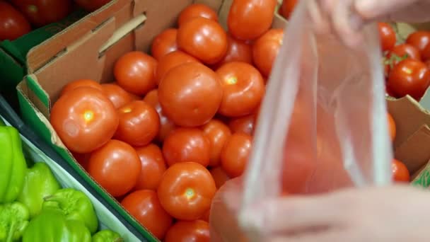 Женские руки выбирают помидоры в магазине — стоковое видео