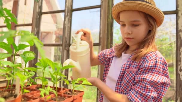 Adorable adolescent fille enfant dans chapeau arrosage semis — Video