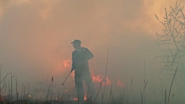 Горит сухая трава в небе дыма. пожарные работают — стоковое видео